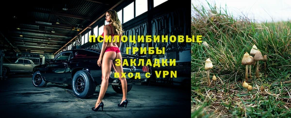дурь Баксан